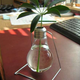 Illustration for article titled DIY Light Bulb Planters and Mini Terrariums Bring Too Many Puns